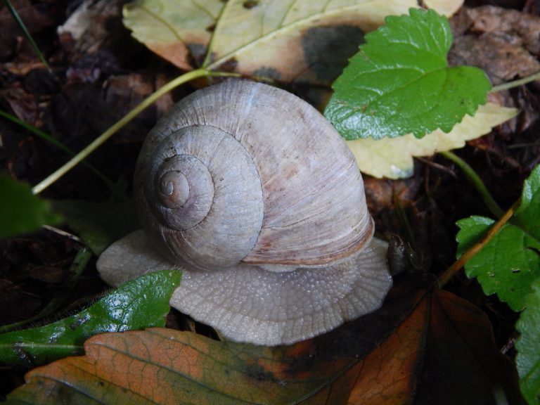pädagogische Struktur- & Qualitätsentwicklung
