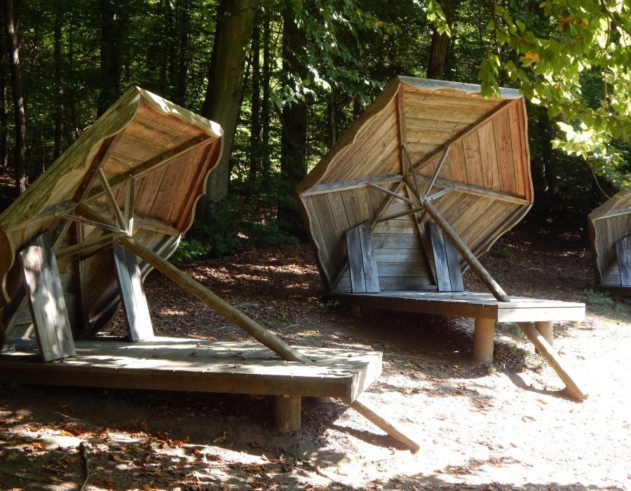 Elternabende & Fachberatung